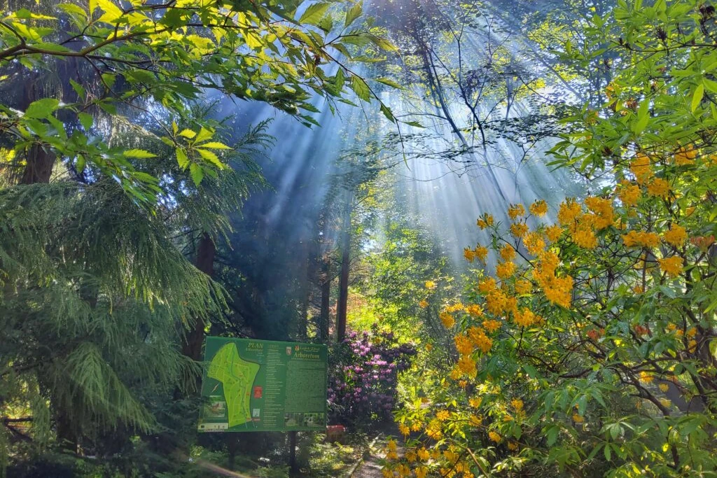 Arboretum